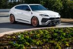 Lamborghini Urus on Avant Garde Wheels (AG F538) 2019 года